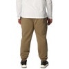 image:imageColumbia Mens Trek JoggerStone Green  Hip Csc Branded Logo