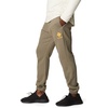 image:imageColumbia Mens Trek JoggerStone GreenMango Stacked Gem