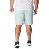 image:imageColumbia Mens Washed Out Short Cotton Classic FitIcy Morn