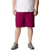 image:imageColumbia Mens Washed Out Short Cotton Classic FitRed Onion
