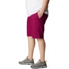 image:imageColumbia Mens Washed Out Short Cotton Classic FitRed Onion