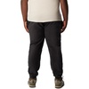 image:imageColumbia Steens Mountain PantsBlack