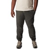 image:imageColumbia Steens Mountain PantsCharcoal Heather