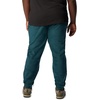 image:imageColumbia Steens Mountain PantsNight Wave