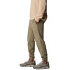 image:imageColumbia Steens Mountain PantsStone Green