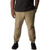 image:imageColumbia Steens Mountain PantsStone Green