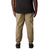 image:imageColumbia Steens Mountain PantsStone Green