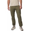 image:imageColumbia Mens Cosmiques Pro Nylon PantStone Green