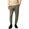 image:imageColumbia Mens Sage Peak Pull on Chino PantStone Green