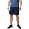 Collegiate Navy