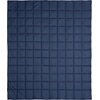 image:imageColumbia 50 x 60 Down Alternative Throw Blanket  Outdoor Essentials for Camping Picnics and Adventures Soft and Cozy Home Essentials for Bed and Living Room 100 Polyester Fill  Blue StripeBlue Stripe