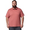 image:imageColumbia Parsons Point PoloWashed RedHeatherRosewood