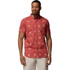 Washed Red/Macaws