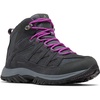 Graphite  Bright Plum