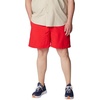 image:imageColumbia Mens PFG Backcast IV Quick Dry Swim ShortsRed Spark