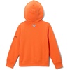 image:imageColumbia Kids Phg Buckscape HoodieTangy Orange